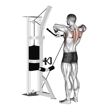 Animated demonstration: cable upright row — target delts