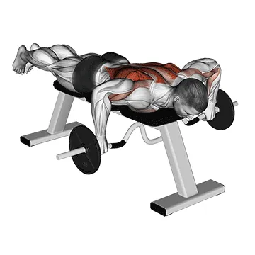 Animated demonstration: cambered bar lying row — target upper back