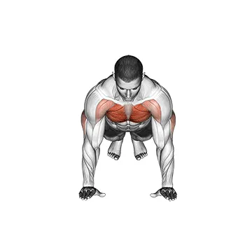 Animated demonstration: clock push-up — target pectorals
