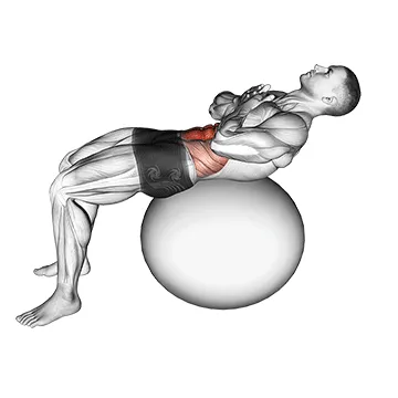 Animated demonstration: crunch (on stability ball) — target abs