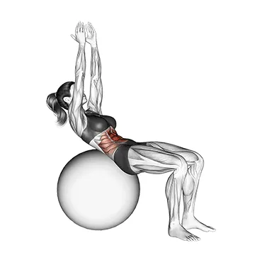 Animated demonstration: crunch (on stability ball, arms straight) — target abs