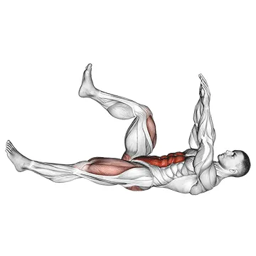 Animated demonstration: dead bug — target abs