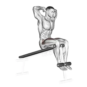 Animated demonstration: decline sit-up — target abs