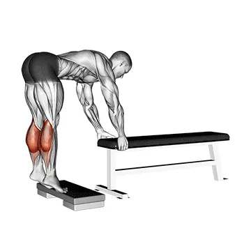 Animated demonstration: donkey calf raise — target calves