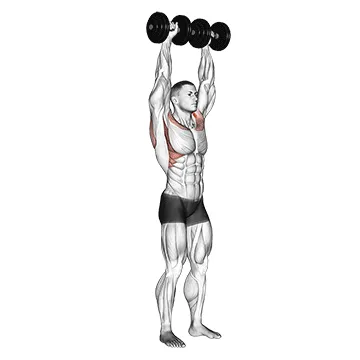 Animated demonstration: dumbbell cuban press — target delts