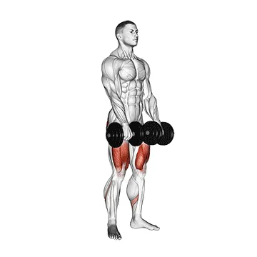 Animated demonstration: dumbbell deadlift — target glutes
