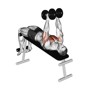 Animated demonstration: dumbbell decline hammer press — target pectorals