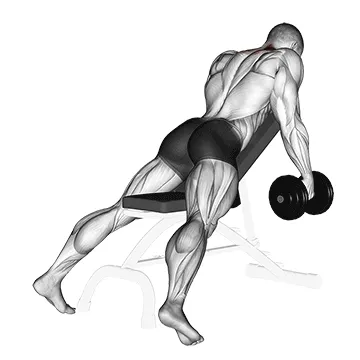 Animated demonstration: dumbbell decline shrug v. 2 — target traps
