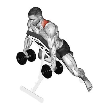 Animated demonstration: dumbbell decline shrug — target traps