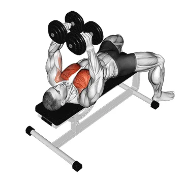 Animated demonstration: dumbbell fly — target pectorals