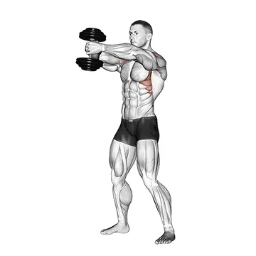 Animated demonstration: dumbbell front raise v. 2 — target delts