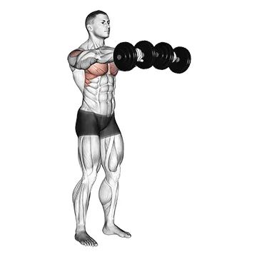 Animated demonstration: dumbbell front raise — target delts