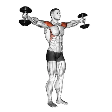 Animated demonstration: dumbbell full can lateral raise — target delts