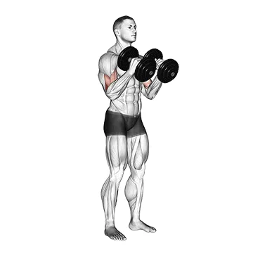 Animated demonstration: dumbbell hammer curl v. 2 — target biceps