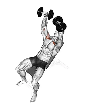 Animated demonstration: dumbbell incline breeding — target pectorals