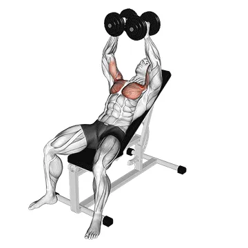 Animated demonstration: dumbbell incline fly — target pectorals