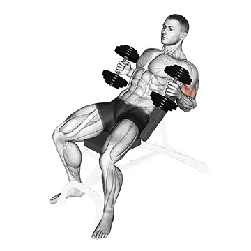Animated demonstration: dumbbell incline hammer curl — target biceps
