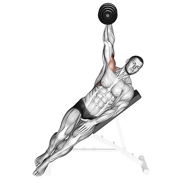 Animated demonstration: dumbbell incline one arm lateral raise — target delts