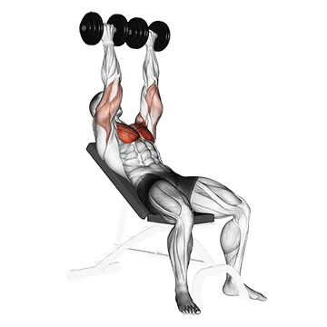 Animated demonstration: dumbbell incline palm-in press — target pectorals