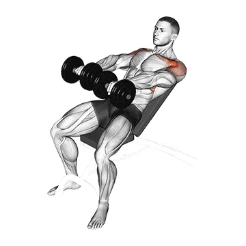 Animated demonstration: dumbbell incline raise — target delts