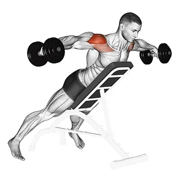 Animated demonstration: dumbbell incline rear lateral raise — target delts