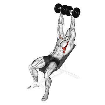 Animated demonstration: dumbbell incline shoulder raise — target serratus anterior