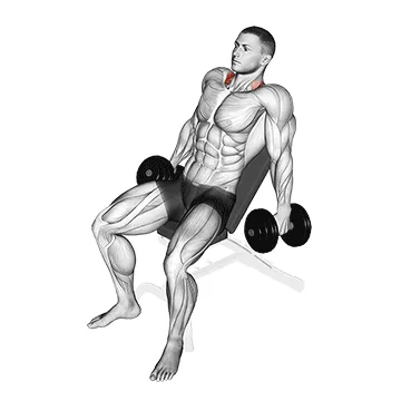 Animated demonstration: dumbbell incline shrug — target traps