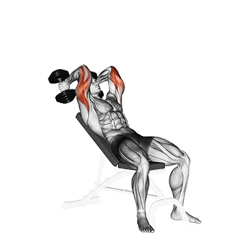 Animated demonstration: dumbbell incline triceps extension — target triceps
