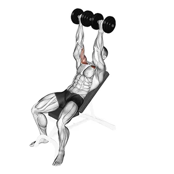 Animated demonstration: dumbbell incline twisted flyes — target pectorals