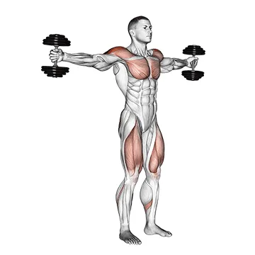 Animated demonstration: dumbbell iron cross — target delts
