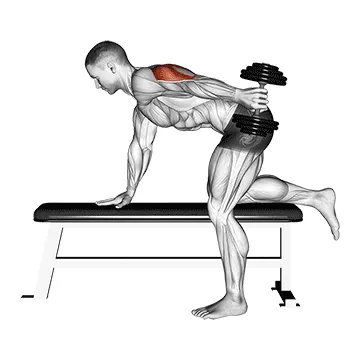 Animated demonstration: dumbbell kickback — target triceps