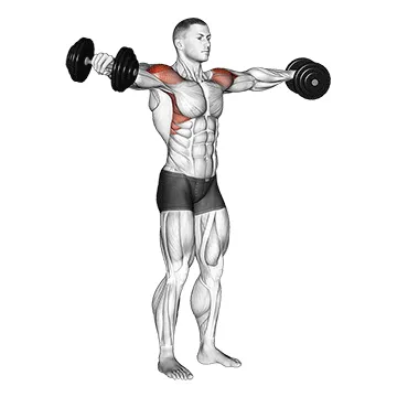 Animated demonstration: dumbbell lateral raise — target delts