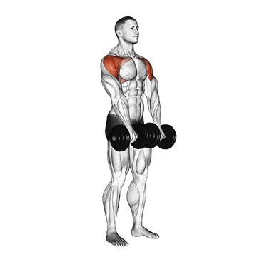 Animated demonstration: dumbbell lateral to front raise — target delts