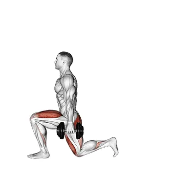Animated demonstration: dumbbell lunge — target glutes