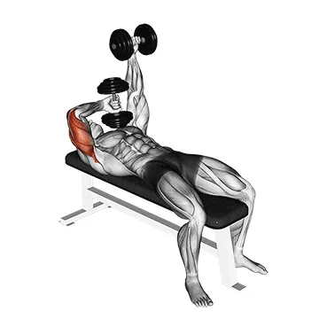 Animated demonstration: dumbbell lying extension (across face) — target triceps