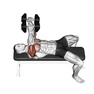 Animated demonstration: dumbbell lying elbow press — target triceps