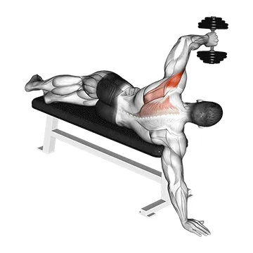 Animated demonstration: dumbbell lying one arm deltoid rear — target delts
