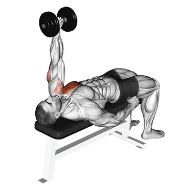 Animated demonstration: dumbbell lying one arm press v. 2 — target pectorals