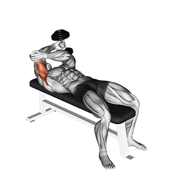 Animated demonstration: dumbbell lying one arm pronated triceps extension — target triceps