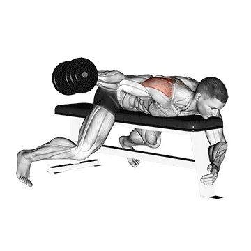 Animated demonstration: dumbbell lying one arm rear lateral raise — target delts