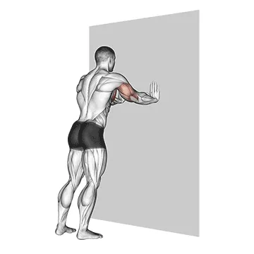 Animated demonstration: push-up (wall) — target pectorals