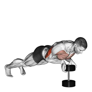 Animated demonstration: push-up close-grip off dumbbell — target triceps