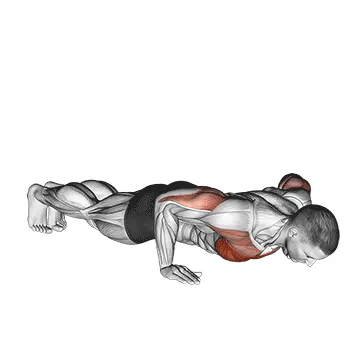 Animated demonstration: push-up — target pectorals
