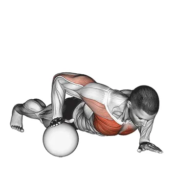 Animated demonstration: push-up medicine ball — target pectorals