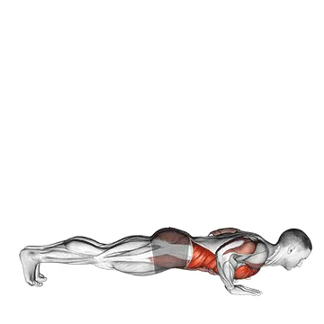 Animated demonstration: push-up to side plank — target abs