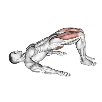 Animated demonstration: rear decline bridge — target glutes