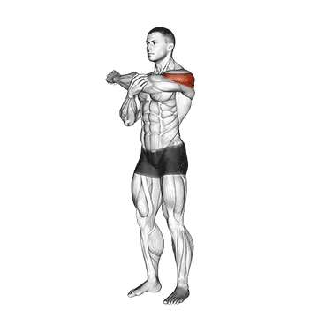 Animated demonstration: rear deltoid stretch — target delts