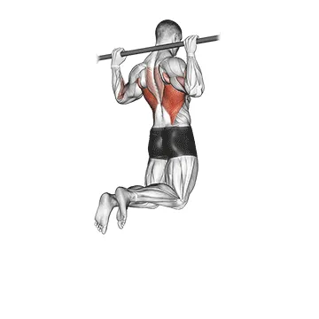 Animated demonstration: rear pull-up — target lats