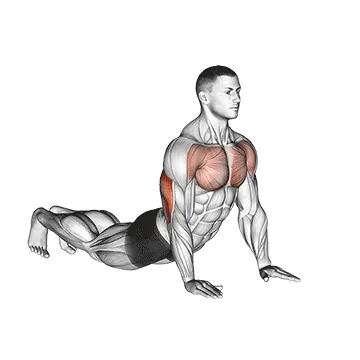 Animated demonstration: reverse dip — target triceps