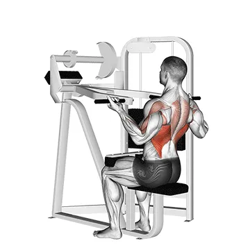 Animated demonstration: reverse grip machine lat pulldown — target lats